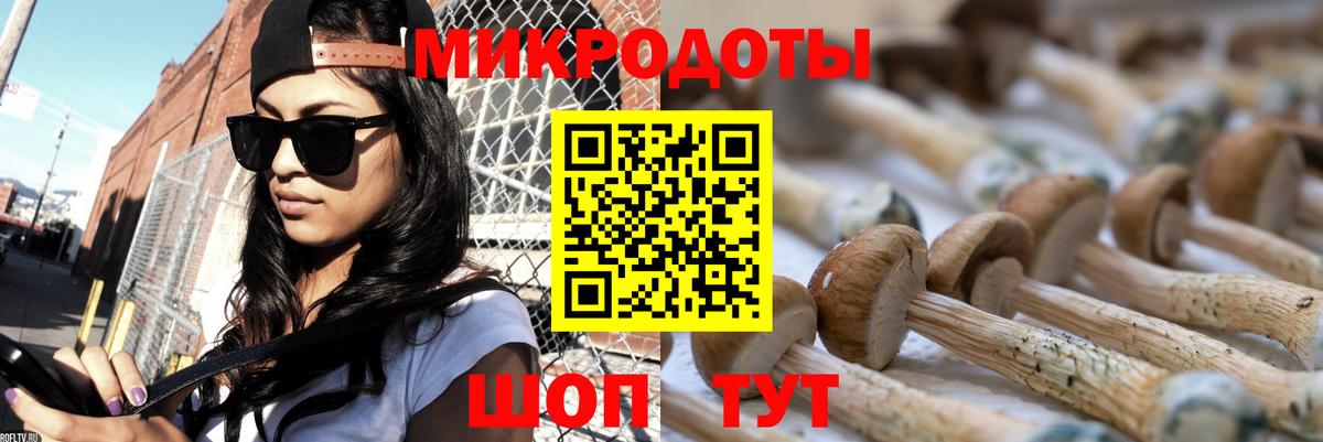Галлюциногенные грибы Psilocybine cubensis  Галлюциногенные грибы мицелий  Магнитогорск  Вход с VPN 